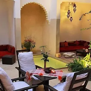 Davia Marrakesh